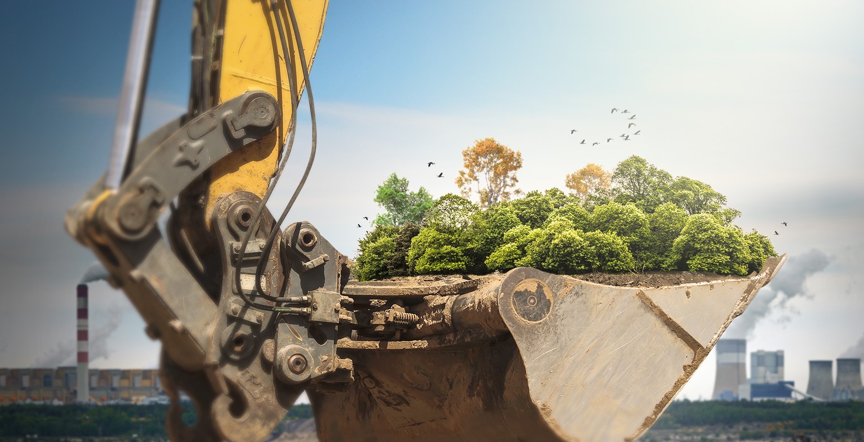 Environmental Awareness in Construction Essential Site Skills